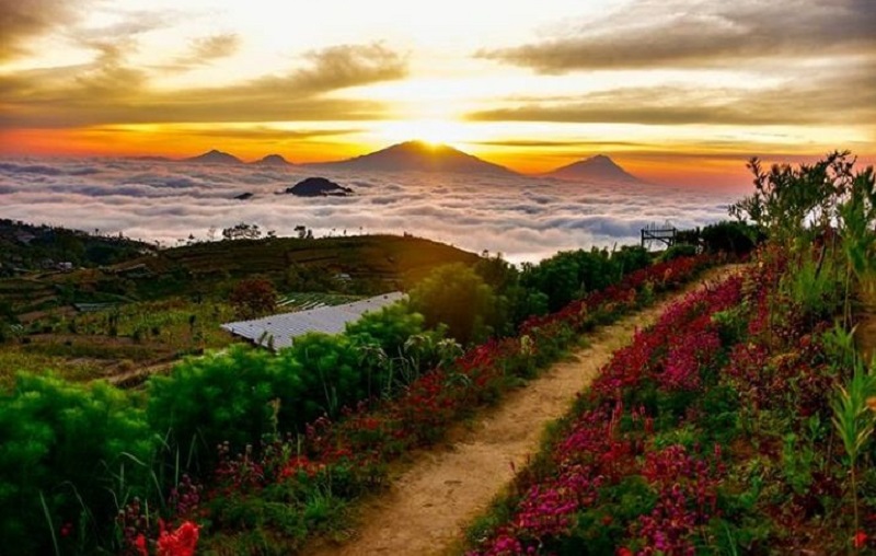 Keindahan Sunset dan Panorama Silancur Highland memanjakan mata